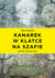 Książka ePub Kanarek w klatce na szafie - ToÅ‚Å‚oczko Artur