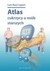 Książka ePub Atlas cukrzycy u osÃ³b starszych Luis Raul Lepori ! - Luis Raul Lepori