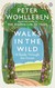 Książka ePub Walks in the Wild - Wohlleben Peter