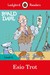 Książka ePub Roald Dahl: Esio Trot - Ladybird Readers Level 4 - Roald Dahl [KSIÄ„Å»KA] - brak