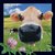 Książka ePub Magnes 3D Krowa - brak