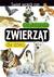 Książka ePub Åšwiat wokÃ³Å‚ nas. Encyklopedia zwierzÄ…t dla dzieci - praca zbiorowa, Eleonora Barsotti