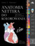 Książka ePub Anatomia Nettera do kolorowania - J.T.Hansen