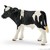 Książka ePub CielÄ™ rasy Holstein - brak