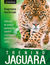 Książka ePub Trening Jaguara. ObudÅº w sobie pewnoÅ›Ä‡ siebie i osiÄ…gaj zamierzone cele - Dagmara Gmitrzak