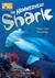 Książka ePub The Hammerhead Shark. Reader Level B1 + DigiBook - Virginia Evans, Jenny Dooley