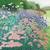 Książka ePub Karnet z kopertą Kwiaty w ogrodzie Wisley - brak