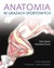 Książka ePub Anatomia w urazach sportowych - brak