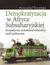 Książka ePub Demokratyzacja w Afryce Subsaharyjskiej - Krzysztof TrzciÅ„ski