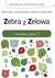 Książka ePub Zebra z Zelowa. Utrwalanie gÅ‚oski Z - Kamila Dudziec, Hanna GÅ‚uchowska, Agnieszka TarczyÅ„ska-PÅ‚atek, Agnieszka Tarcz