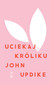 Książka ePub Uciekaj, KrÃ³liku - John Updike