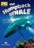 Książka ePub The Humpback Whale. Reader level B1 + DigiBook - Virginia Evans, Jenny Dooley