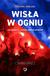 Książka ePub WisÅ‚a w ogniu jak bandyci ukradli wisÅ‚Ä™ krakÃ³w - brak