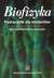 Książka ePub Biofizyka PodrÄ™cznik dla studentÃ³w - brak