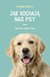 Książka ePub Jak kochajÄ… nas psy - Gregory Berns
