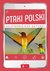 Książka ePub Ptaki Polski - PrzybyÅ‚owicz Anna, PrzybyÅ‚owicz Åukasz