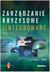 Książka ePub ZarzÄ…dzanie kryzysowe zintegrowane wyd. 2 - brak