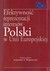 Książka ePub EfektywnoÅ›Ä‡ reprezentacji interesÃ³w Polski w Unii Europejskiej - brak