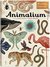 Książka ePub Animalium muzeum zwierzÄ…t wyd. 3 - brak