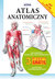 Książka ePub Atlas anatomiczny - Opracowanie Zbiorowe
