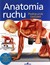 Książka ePub Anatomia ruchu. PodrÄ™cznik Ä‡wiczeÅ„ - Ken Ashwell [KSIÄ„Å»KA] - Ken Ashwell