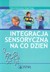 Książka ePub Integracja sensoryczna na co dzieÅ„ PZWL - Maria Borkowska, Kinga Wagh