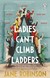 Książka ePub Ladies Canâ€™t Climb Ladders - Robinson Jane