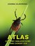 Książka ePub Atlas chorÃ³b odkleszczowych i innych chorÃ³b OUN | - Zajkowska Joanna