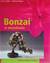Książka ePub Bonzai w mieszkaniu - Helmut Ruger, Horst Stahl