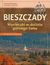 Książka ePub Bieszczady - Wycieczki w dolinie gÃ³rnego Sanu - Edward MarszaÅ‚ek,StanisÅ‚aw OrÅ‚owski