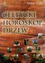 Książka ePub Celtycki horoskop drzew - Didier Colin [KSIÄ„Å»KA] - Didier Colin