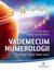 Książka ePub Vademecum numerologii - Editha WÃ¼st, Sabine Schieferle
