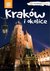 Książka ePub KrakÃ³w i okolice. Travelbook. Wydanie 1 - Monika Kowalczyk, Artur Kowalczyk, PaweÅ‚ Krokosz