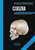 Książka ePub Anatomia prawidÅ‚owa czÅ‚owieka czaszka podrÄ™cznik dla studentÃ³w i lekarzy - brak