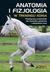Książka ePub Anatomia i fizjologia w treningu konia - Gillian Higgins