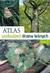 Książka ePub Atlas uszkodzeÅ„ drzew leÅ›nych. Tom 1 - praca zbiorowa, Franz Nienhaus, GÃ¼nter Hartmann, Heinz Butin
