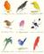 Książka ePub Karnet 17x14cm z kopertÄ… Drawings of comic birds - brak