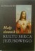 Książka ePub MaÅ‚y sÅ‚ownk Kultu Serca Jezusowego Jan Hojnowski ! - Jan Hojnowski