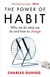 Książka ePub The Power of Habit - Charles Duhigg