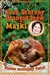 Książka ePub Klub Ochrony OrangutanÃ³w Majki. Razem uratujmy Å›wiat - MAJA MULAK, MAGDALENA TOBIK